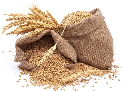 В госфонд закуплено свыше 760 тыс. тонн зерна