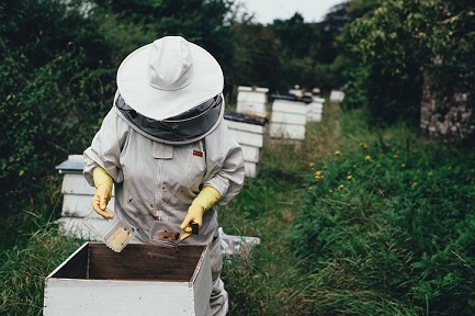 Пчеловодство в Казахстане развивается положительными темпами