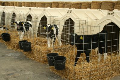 Комплексная защита от вирусов для эффективности воспроизводства стада
