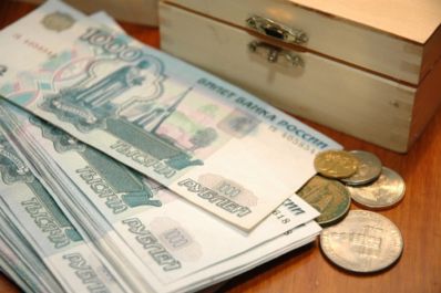 На поддержку сельхозпроизводителей Томской области было направлено 1,3 млрд. рублей