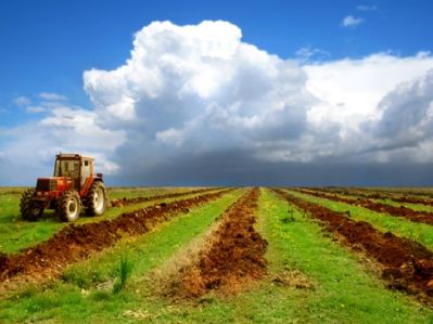 В Пермском крае действует новая кадастровая стоимость для сельскохозяйственных земель