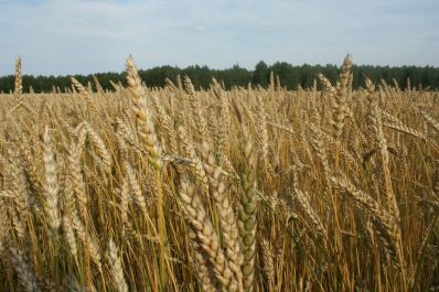 В Казахстане обсудят адаптацию сельского хозяйства к изменяющемуся климату