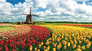 Экономика и сельское хозяйство Нидерландов