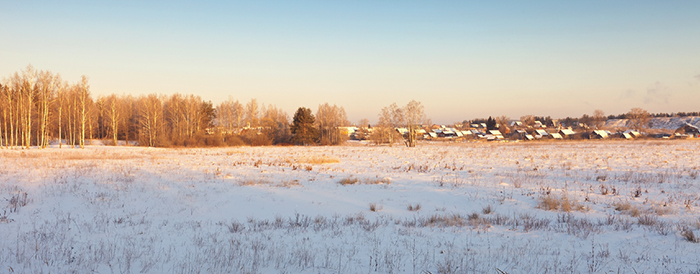 Снегонакопление на полях и урожай (на примере степной зоны Челябинской  области) — Светич